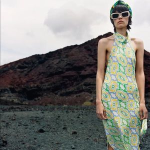 Zara Printed Dress